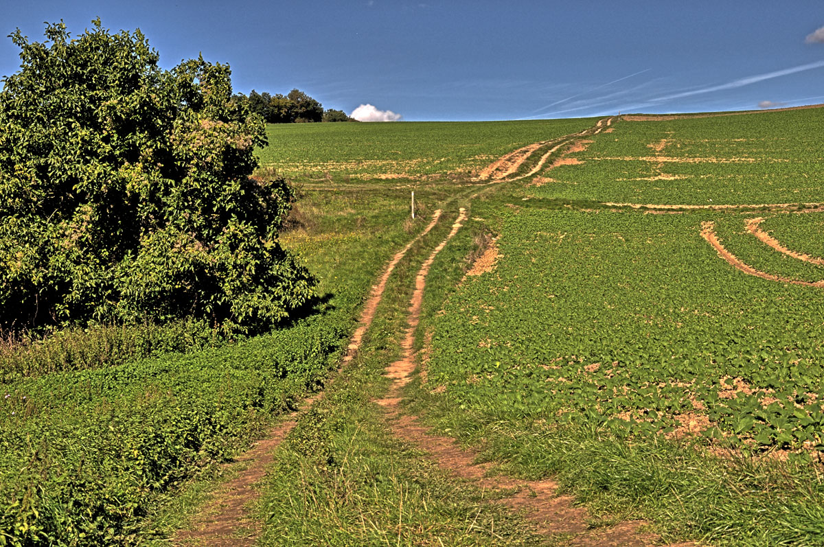 Pyrmonter Felsensteig