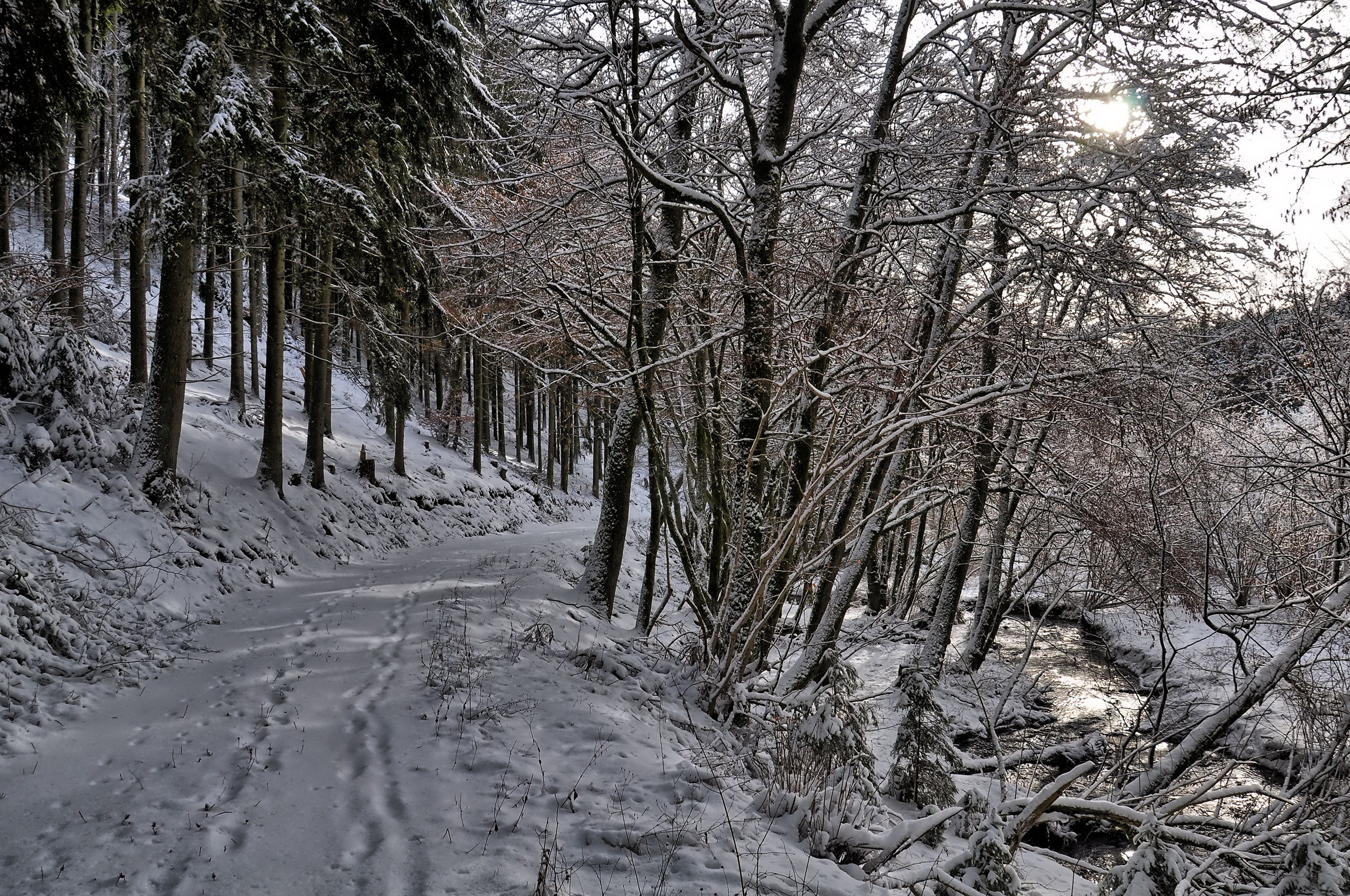 Winterwanderung durchs Sammetbachtal