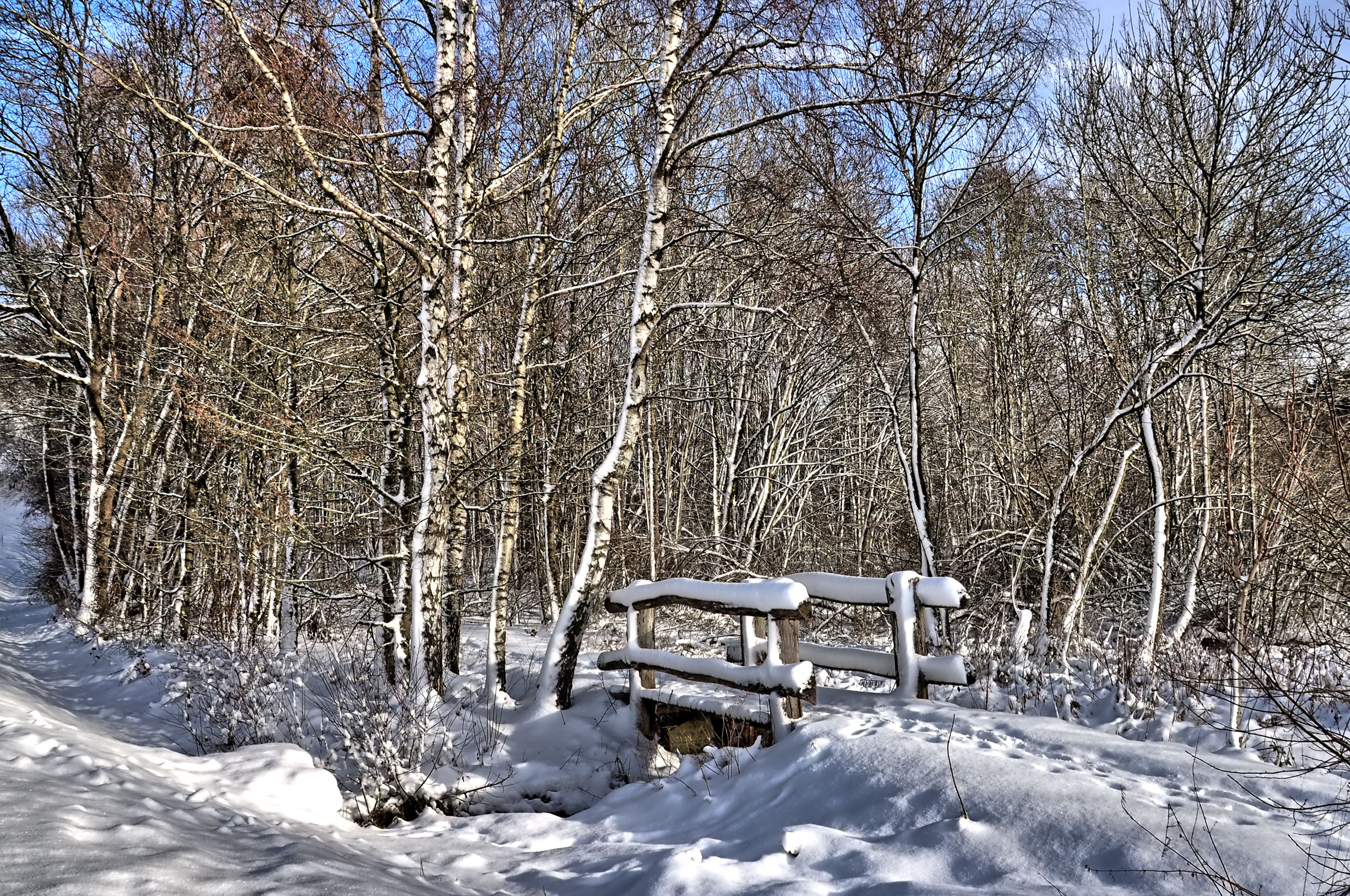 Winterwanderung durchs Sammetbachtal - Am Holzmaar