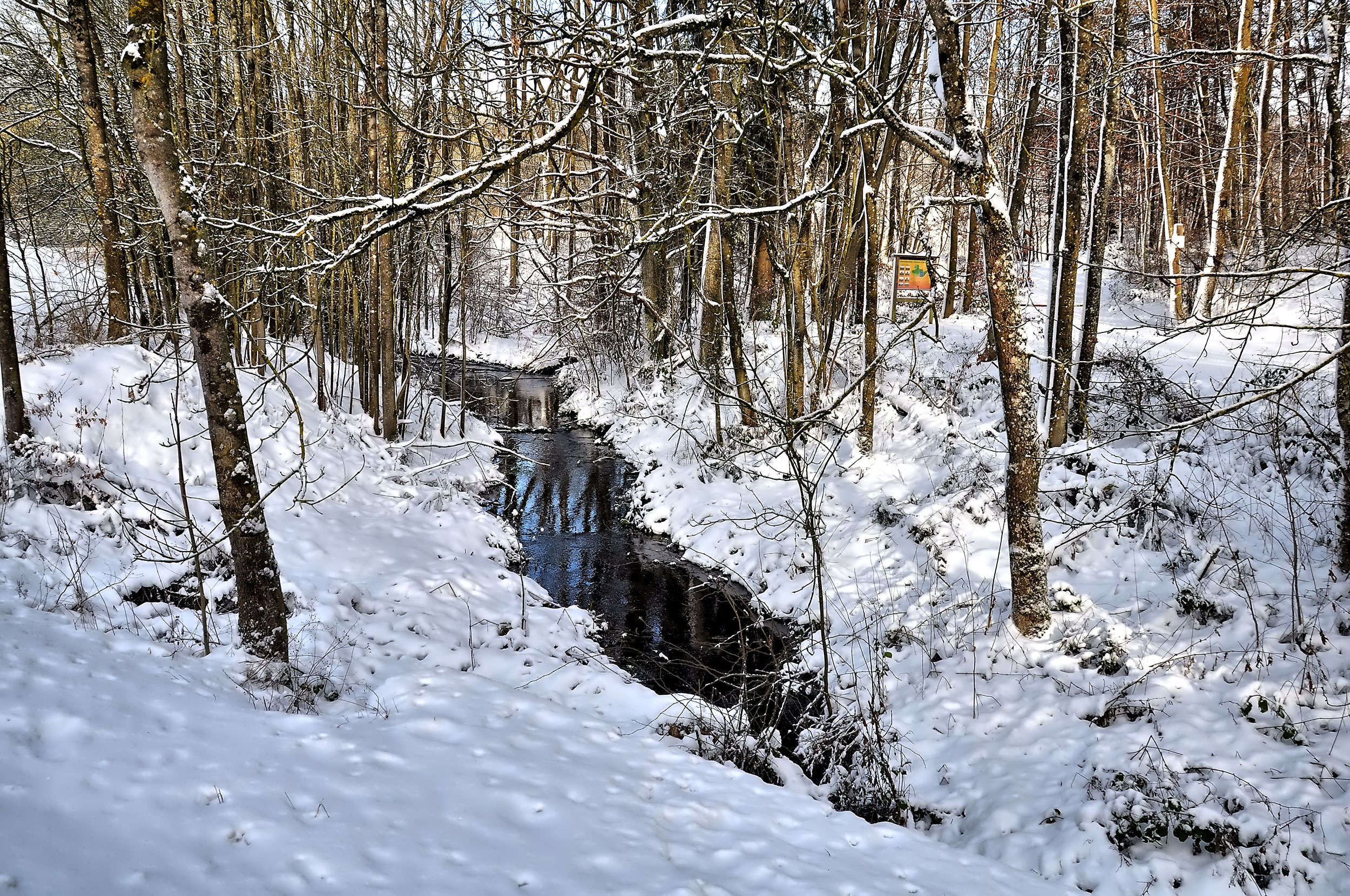 Winterwanderung durchs Sammetbachtal - Am Holzmaar